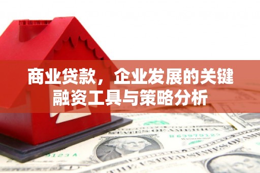 邵阳县商业贷款，企业发展的关键融资工具与策略分析