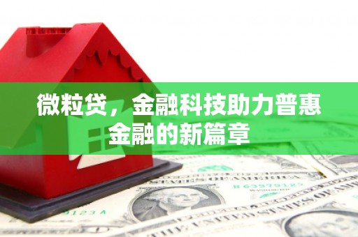 邵阳县微粒贷，金融科技助力普惠金融的新篇章