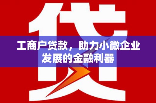 邵阳县工商户贷款，助力小微企业发展的金融利器