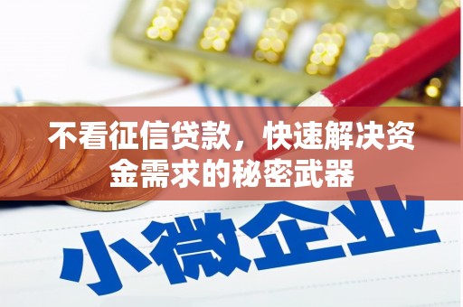 邵阳县不看征信贷款，快速解决资金需求的秘密武器