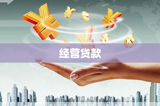邵阳县经营贷款