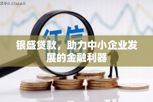 邵阳县银盛贷款，助力中小企业发展的金融利器