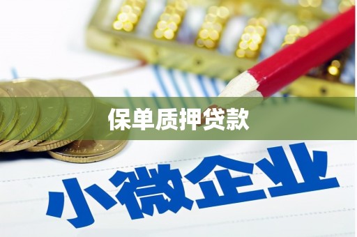 邵阳县保单质押贷款