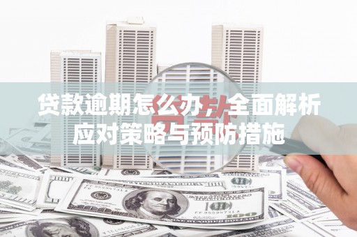 邵阳县贷款逾期怎么办，全面解析应对策略与预防措施