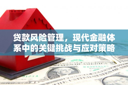 邵阳县贷款风险管理，现代金融体系中的关键挑战与应对策略