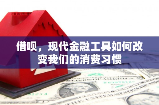 邵阳县借呗，现代金融工具如何改变我们的消费习惯