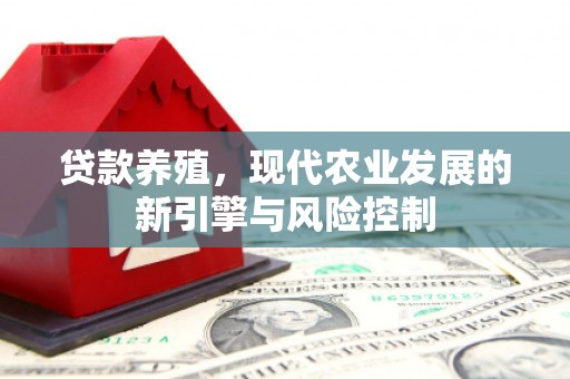 邵阳县贷款养殖，现代农业发展的新引擎与风险控制