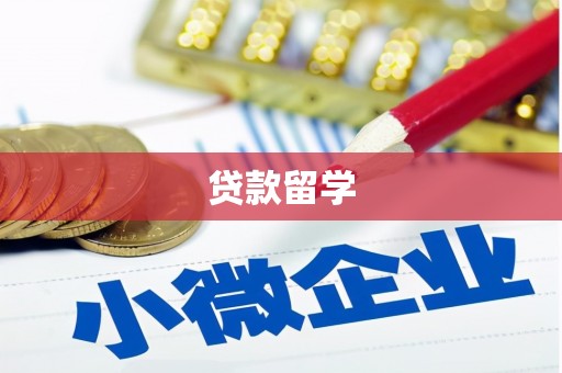 邵阳县贷款留学