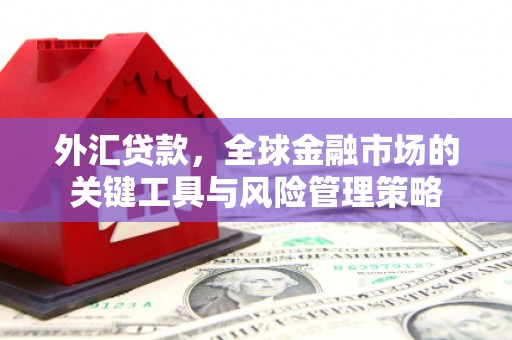 邵阳县外汇贷款，全球金融市场的关键工具与风险管理策略
