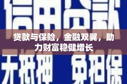 邵阳县贷款与保险，金融双翼，助力财富稳健增长
