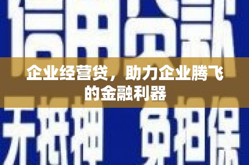 邵阳县企业经营贷，助力企业腾飞的金融利器