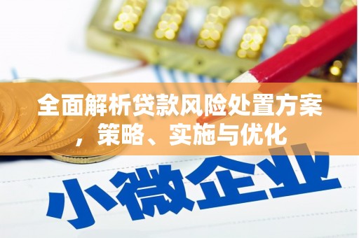邵阳县全面解析贷款风险处置方案，策略、实施与优化