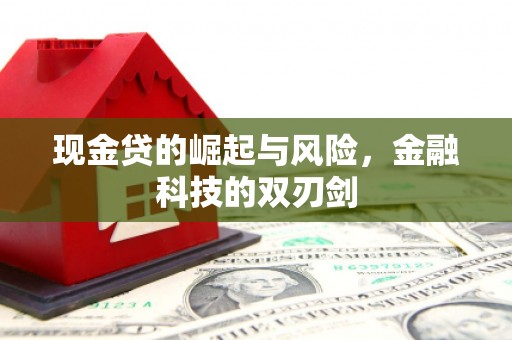 邵阳县现金贷的崛起与风险，金融科技的双刃剑