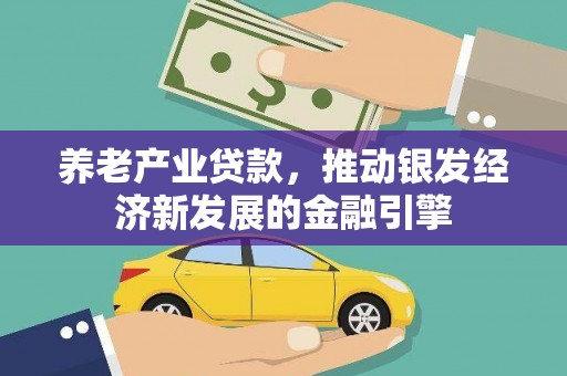 邵阳县养老产业贷款，推动银发经济新发展的金融引擎