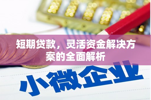 邵阳县短期贷款，灵活资金解决方案的全面解析