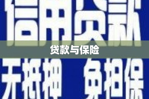 邵阳县贷款与保险