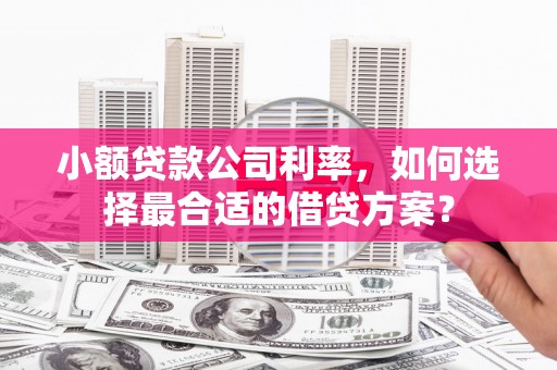邵阳县小额贷款公司利率，如何选择最合适的借贷方案？