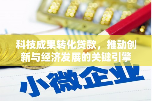 邵阳县科技成果转化贷款，推动创新与经济发展的关键引擎