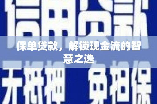 邵阳县保单贷款，解锁现金流的智慧之选
