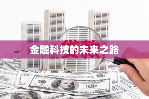 邵阳县金融科技的未来之路