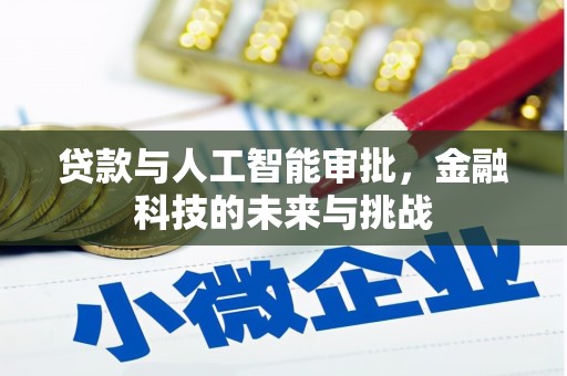 邵阳县贷款与人工智能审批，金融科技的未来与挑战