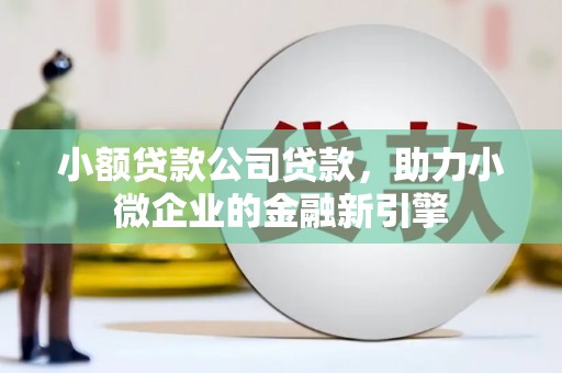 邵阳县小额贷款公司贷款，助力小微企业的金融新引擎