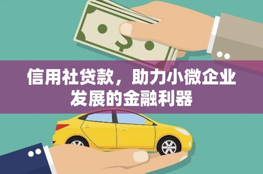 邵阳县信用社贷款，助力小微企业发展的金融利器