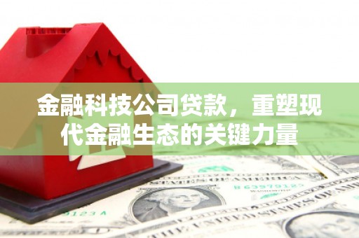 邵阳县金融科技公司贷款，重塑现代金融生态的关键力量