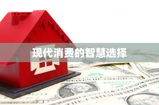 邵阳县现代消费的智慧选择
