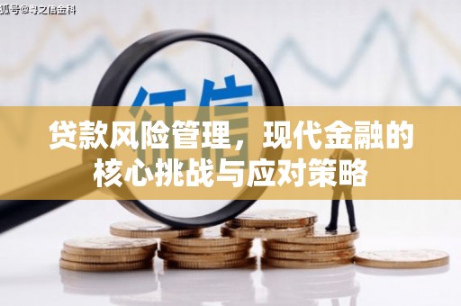 邵阳县贷款风险管理，现代金融的核心挑战与应对策略