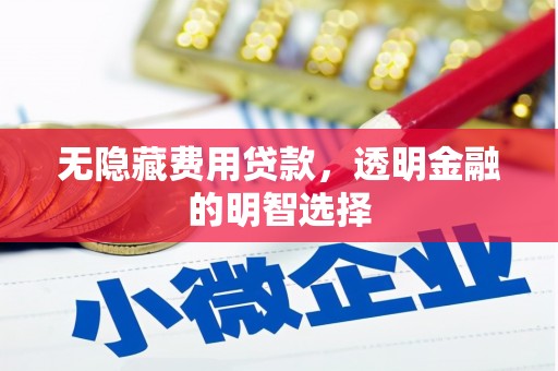 邵阳县无隐藏费用贷款，透明金融的明智选择