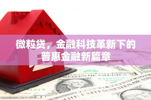 邵阳县微粒贷，金融科技革新下的普惠金融新篇章