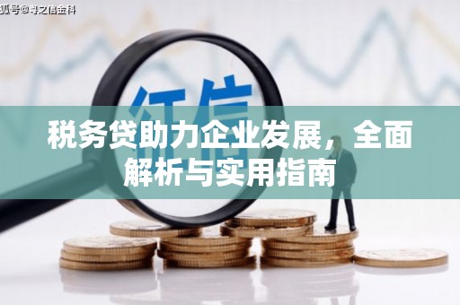 邵阳县税务贷助力企业发展，全面解析与实用指南