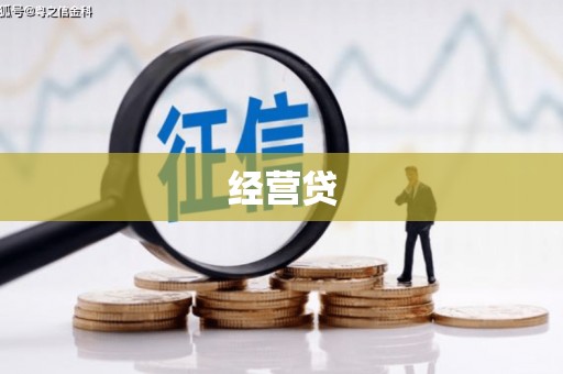 邵阳县经营贷