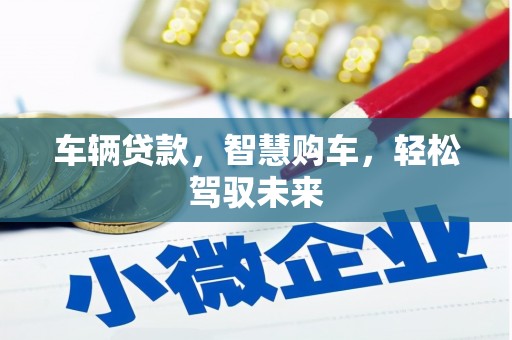 邵阳县车辆贷款，智慧购车，轻松驾驭未来