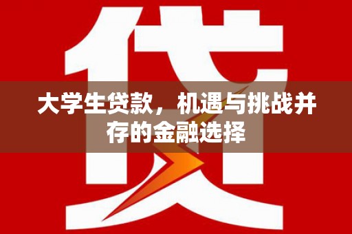 邵阳县大学生贷款，机遇与挑战并存的金融选择