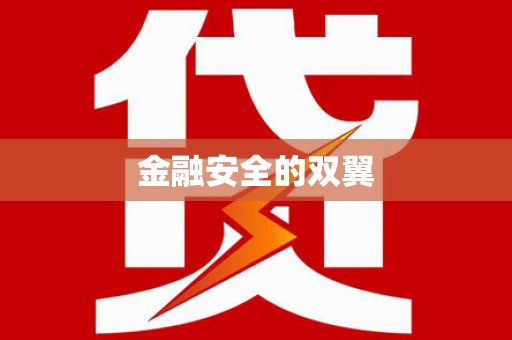 邵阳县金融安全的双翼