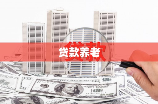 邵阳县贷款养老