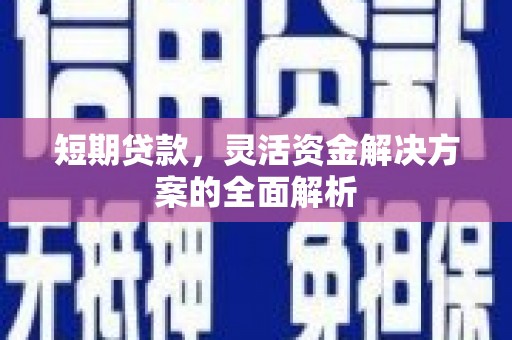 邵阳县短期贷款，灵活资金解决方案的全面解析