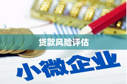 邵阳县贷款风险评估