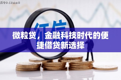 邵阳县微粒贷，金融科技时代的便捷借贷新选择