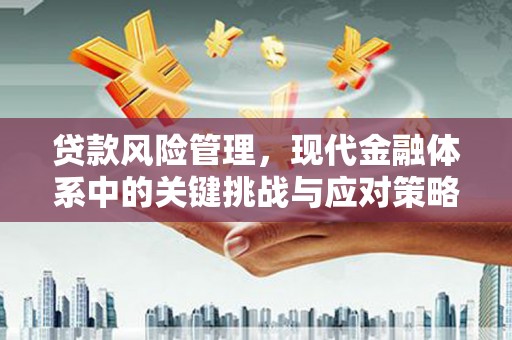 邵阳县贷款风险管理，现代金融体系中的关键挑战与应对策略