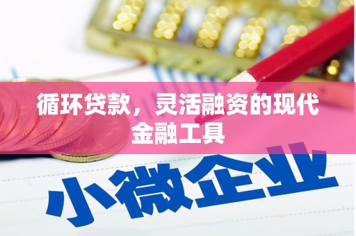 邵阳县循环贷款，灵活融资的现代金融工具