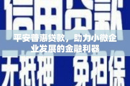 邵阳县平安普惠贷款，助力小微企业发展的金融利器