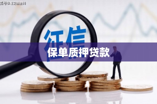 邵阳县保单质押贷款