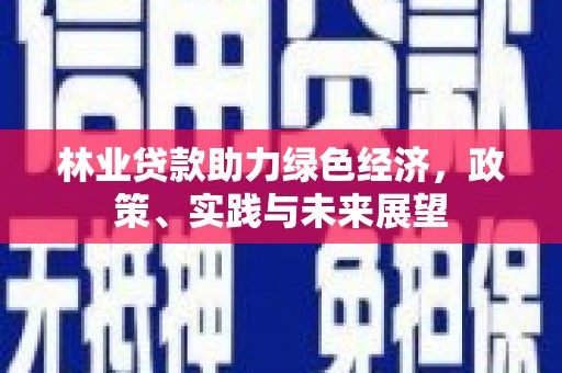 邵阳县林业贷款助力绿色经济，政策、实践与未来展望