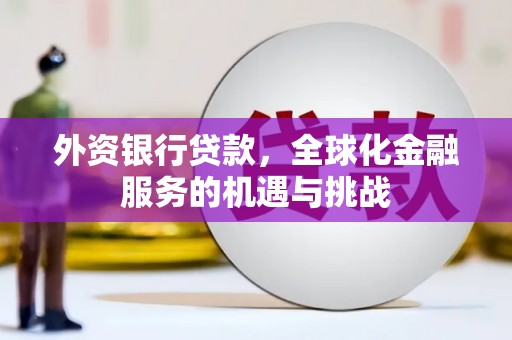 邵阳县外资银行贷款，全球化金融服务的机遇与挑战