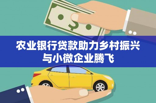 邵阳县农业银行贷款助力乡村振兴与小微企业腾飞