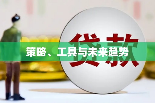 邵阳县策略、工具与未来趋势