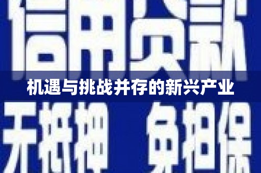 邵阳县机遇与挑战并存的新兴产业